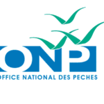 Office National des Pêches Concours Emploi Recrutement