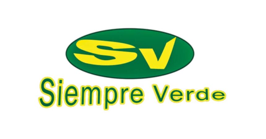 Siempre Verde