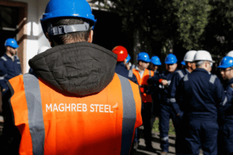 Maghreb Steel Emploi Recrutement