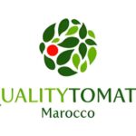 Quality Tomato Morocco