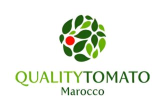 Quality Tomato Morocco