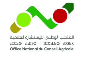 Office National du Conseil Agricole Concours Emploi Recrutement