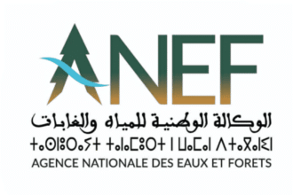ANEF Concours Emploi Recrutement
