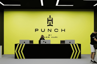 Punch by Badr Hari